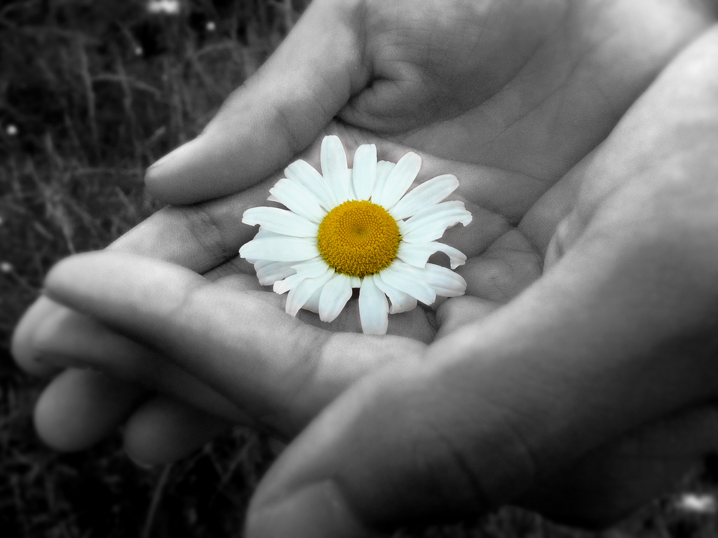 Bienvenidos al Blog