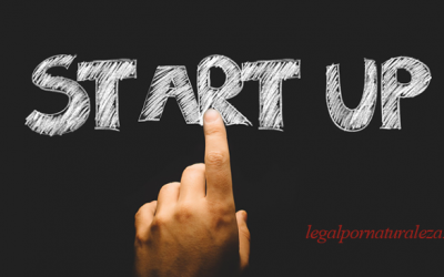 Consejos para nuevos autónomos y emprendedores