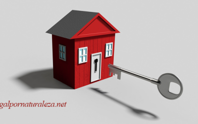 Qué es el usufructo vitalicio