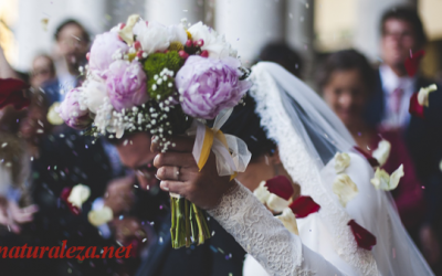 Trámites para una boda religiosa en España