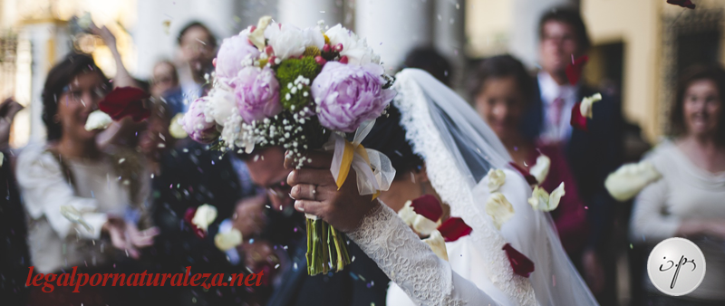 Trámites para una boda religiosa en España | Legal por Naturaleza