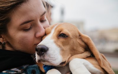 ¿Qué pasa con las mascotas en una herencia?